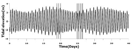 Fig. 11.