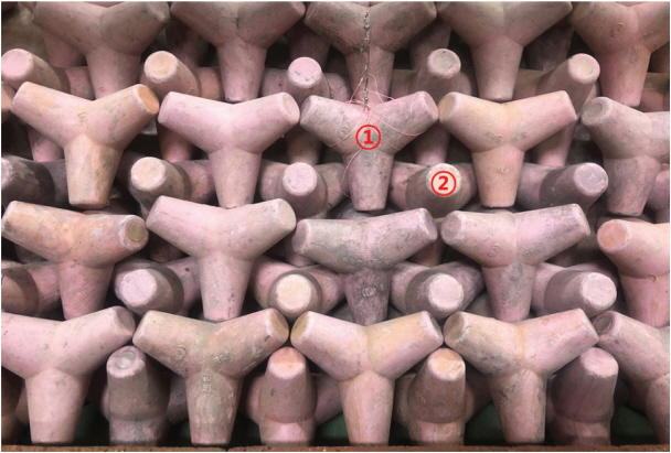 Fig. 7.