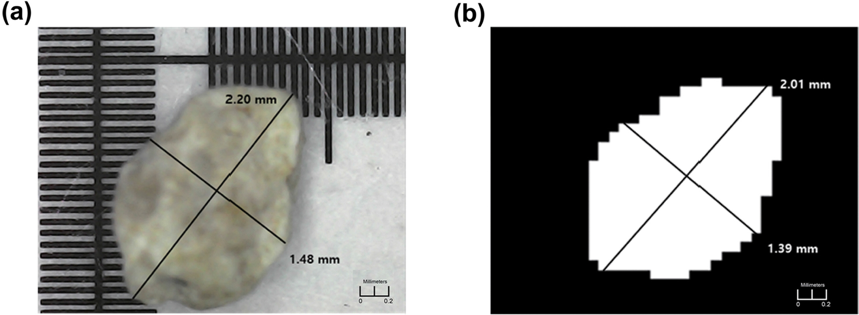 Fig. 6.